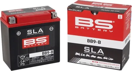 BS Battery SLA Factory- Activated AGM Maintenance-Free Battery (300675)