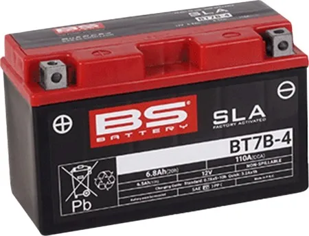 BS Battery SLA Factory- Activated AGM Maintenance-Free Battery (300641)