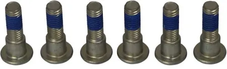 TRW Brake Rotor Bolt Set (MSS132-6)