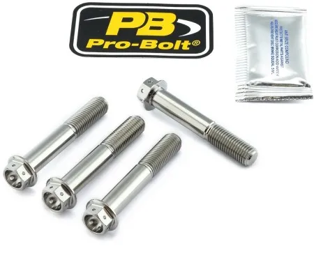 Pro Bolt Titanium Brake Caliper Mount Kit (TIFBMON360R)