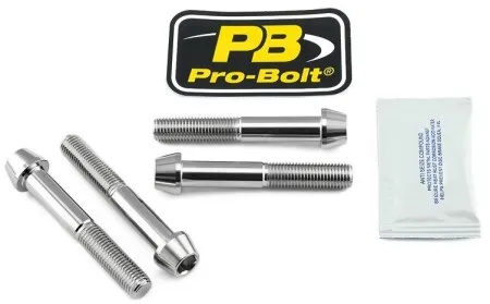 Pro Bolt Stainless Steel Caliper Mount Bolt kit (SSFBMON100)