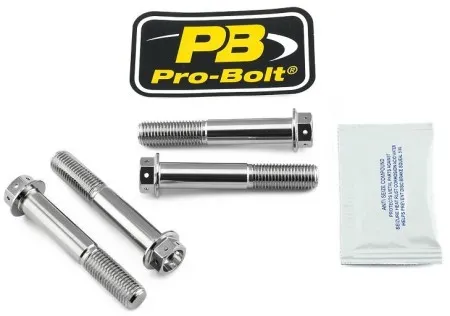 Pro Bolt Stainless Steel Caliper Mount Bolt kit (SSFBMON360R)