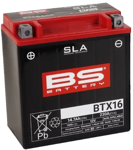 BS Battery SLA Factory-Activated AGM Maintenance-Free Batteries (300763)